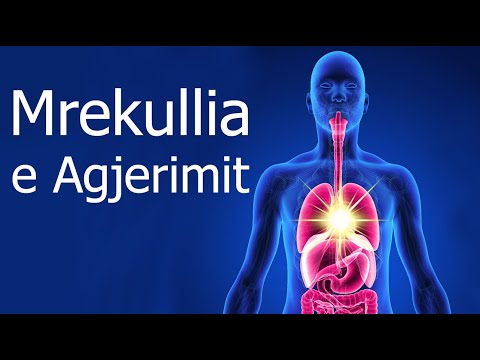 Mrekullia e agjerimit! Ti qe ke agjeruar meso se çfare te mirash i ke sjelle vetes dhe trupit!