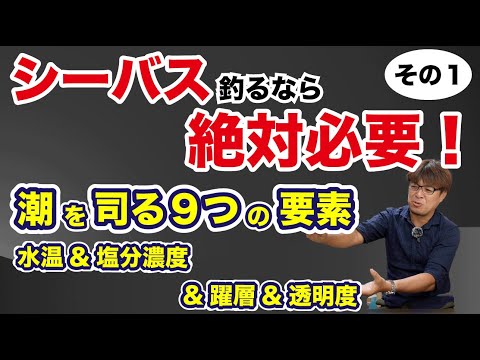 アーウィン・シャピロについて詳しく解説