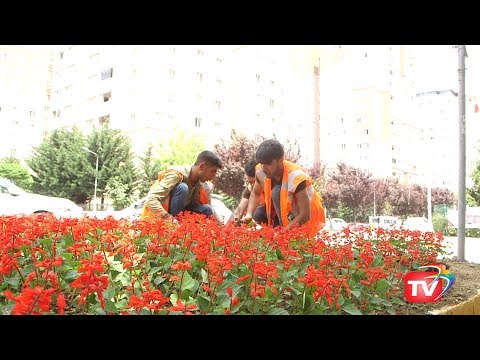 download lagu mp3 mp4 Beylikdz Temizlik, download lagu Beylikdz Temizlik gratis, unduh video klip Beylikdz Temizlik