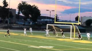 Goalkeeper save