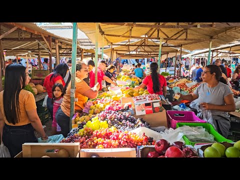 FEIRA LIVRE DE PESQUEIRA IMPRESSIONA PELO BAIXO CUSTO DO NORDESTE!