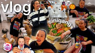 VLOG: cooking Filipino Sinigang recipe, spending time alone, homegoods shopping, unboxing mini brand