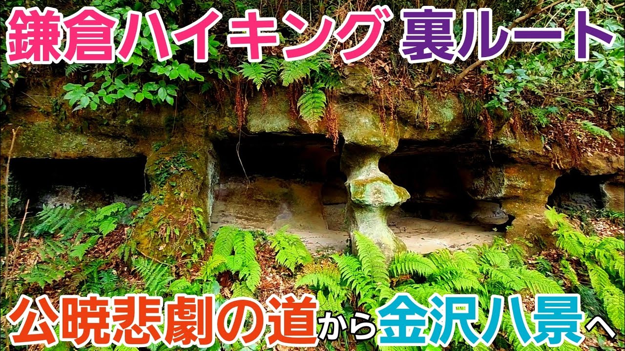 【鎌倉ハイキング裏ルート】公暁悲劇の道から金沢八景へ！