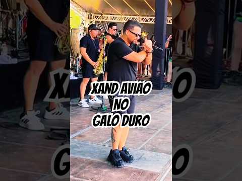 XAND AVIÃO no festival de verão GALO DURO em PAULO RAMOS MARANHÃO. #olocutoroficial