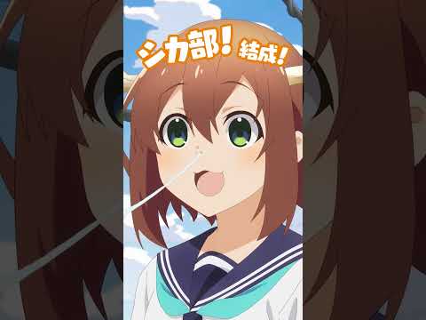 しかのこのこのここしたんたん Video2