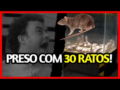 GUI SANTANA PARTICIPOU MAIS UMA VEZ DA PROVA NO ESCURO | Apagão #11