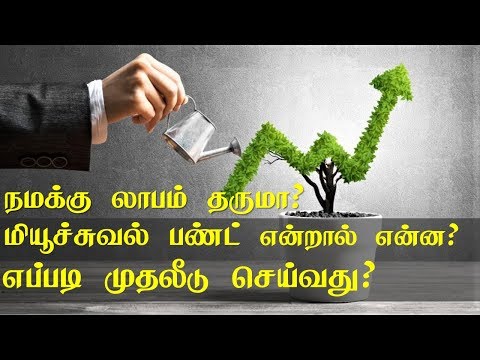 What is mutual fund in Tamil  மியூச்சுவல் பண்ட் என்றால் என்ன | எப்படி முதலீடு செய்வது (Tamil) Video