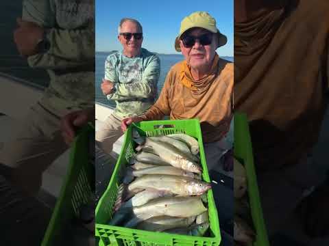 Excelente pesca en Monte Guamini guia EL PATA @juanmanuel.bermejo tel +54 9 2923 57-1118.