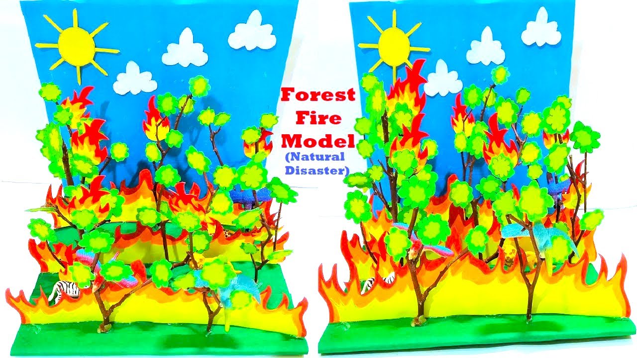 forest fire model 3d (Natural Disaster) for social science exhibition project | DIY | howtofunda
