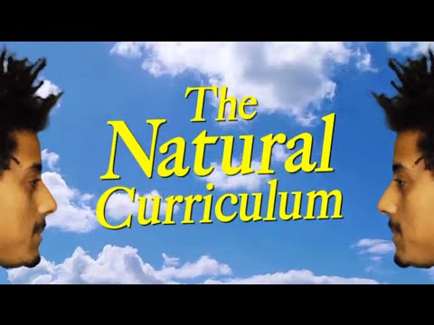 The Natural Curriculum - A Song for Steve Miller