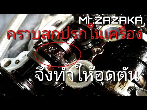 เมลิสสาอ่อนแอ Stanozolol และความแข็งแรง