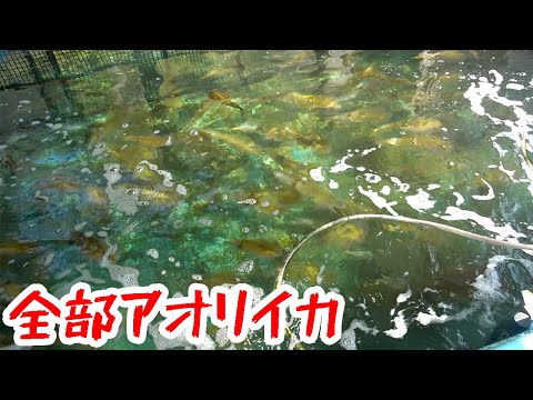 おすすめの楽しい佐賀日帰り旅！！