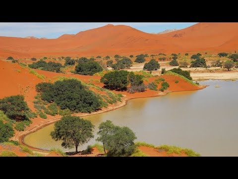 Namibia, Sossusvlei blooming