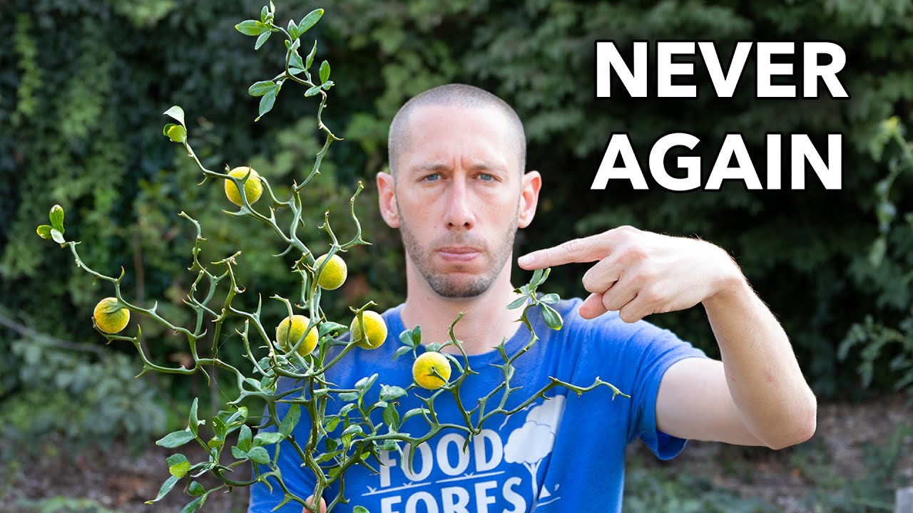 DON'T WASTE YOUR TIME, 7 Crops I Would NEVER Plant Again in My Garden
