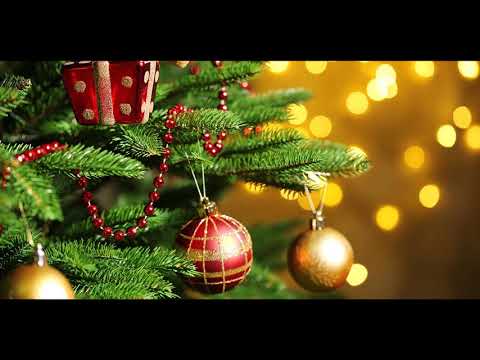 15.12.2018 | Portsmouth @ Walburgis in Antwerp