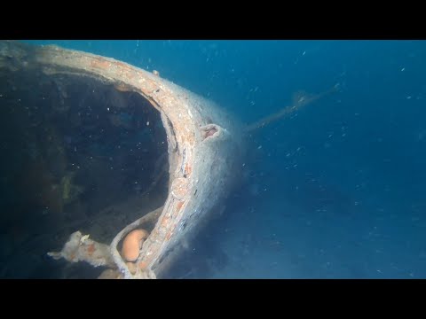 Wreck Savudrija, Beaufighter NE 374, 272. sqn RAF