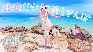 【珊瑚垣】珊瑚だらけの砂浜をバルーンスカートでさんぽ。(#^.^#)