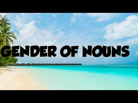 Gender of nouns in English./Gender