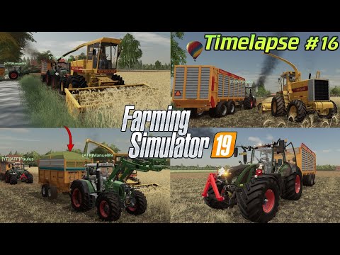 EMERGENCY HARVEST? 🥵😱 CHOPPING dry triticale!🚜💨 23,000 Sub Giveaway💛| [FS19] - Timelapse #16 Holland