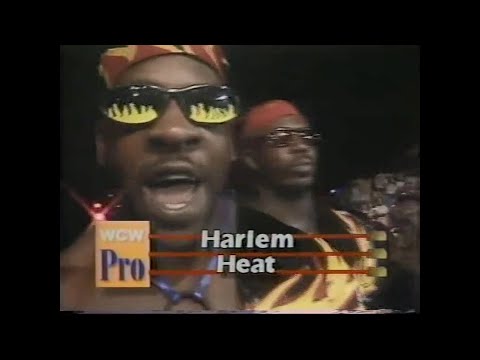 Harlem Heat vs Brian Armstrong & Scott Studd   Pro Aug 6th, 1994