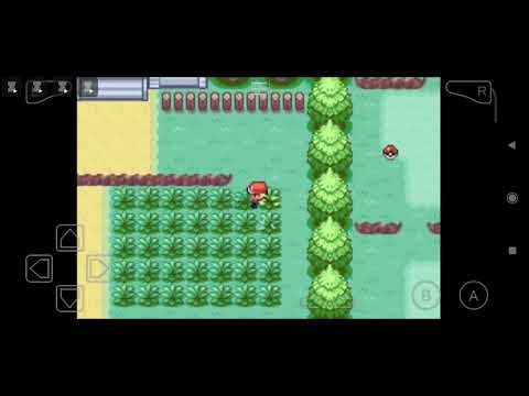 facciamo le nostre prime catture e arriviamo alla nuova città ep2