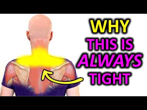 Why Your Neck and Shoulders Are Always Tight