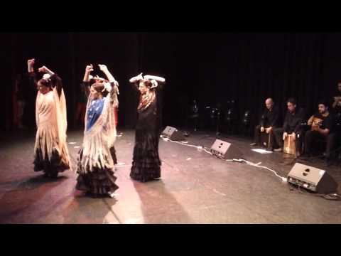 Festival Casa Patas 2013.Seguiriya