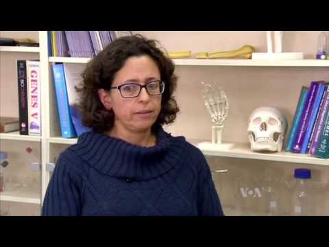 Lab Grown Bones Successfully Transplanted