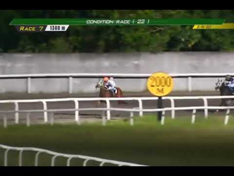 APO NI MARIA - PRCI RACE 7 - BAYANG KARERISTA HORSE RACING AT SANTA ANA PARK