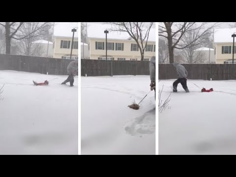 Чихуахуа утопает в снегу