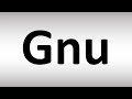 How To Pronounce GNU