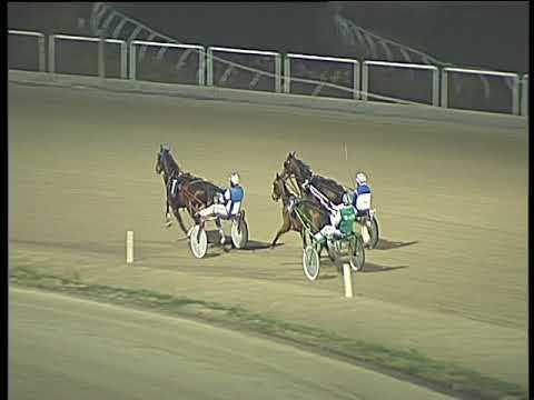 Trotto 29/12/2017 - prova di qualifica