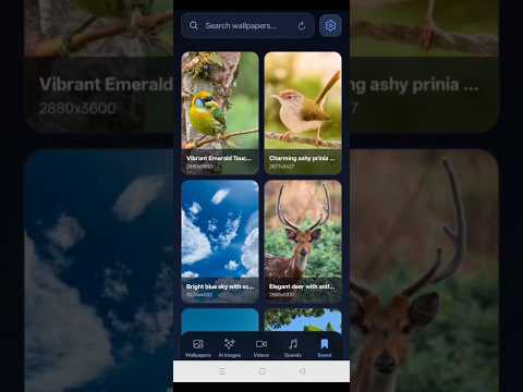 Lumixa: 4K Wallpapers & Videos