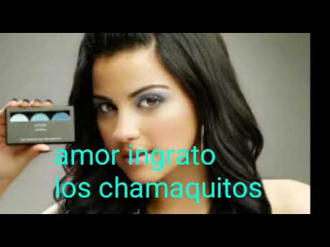 los chamaquitos amor ingrato