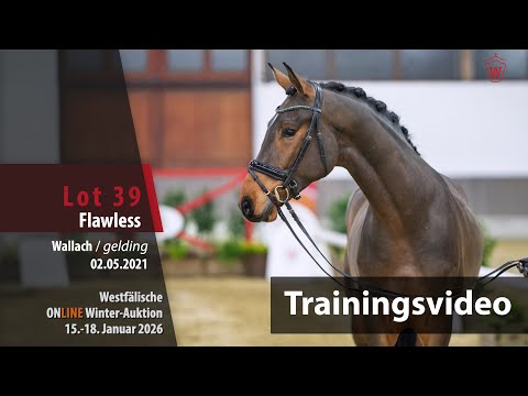 Online Winter-Auktion 2026 Training Lot 39 Flawless Wallach v. Franz Joseph Junior - Fürst Piccolo