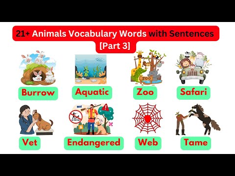 Animals Vocabulary Words [Part 3] | English Speaking Practice #learnenglish #animals