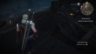 The Witcher 3: Wild Hunt - Complete Edition_2026 on the path