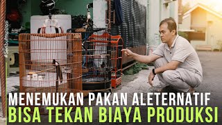 Download lagu THE SECRET OF THIS MURAI BATU BREEDER, STILL PROFITABLE EVEN THOUGH PRICES ARE PLUMBLING mp3 Download lagu THE SECRET OF THIS MURAI BATU BREEDER, STILL PROFITABLE EVEN THOUGH PRICES ARE PLUMBLING mp3