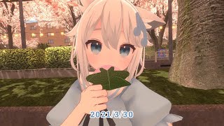 【 #VRChat 1000時間記念 】 つつみちぎり - 美少女一年生 ( 七草くりむ Cover ) 【 #七草くりむ 】