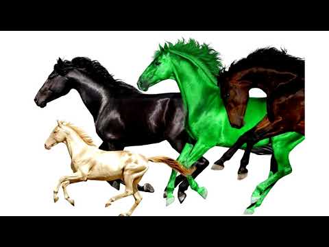 Lil Nas X - Old Town Road (ft. Lil Wayne) (UNRELEASED)