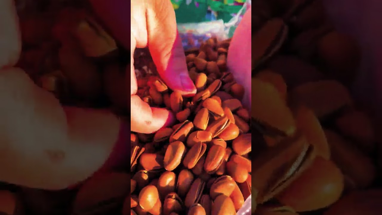 Premium Dry Fruits Collection | Fresh, Healthy & Delicious 🥜✨