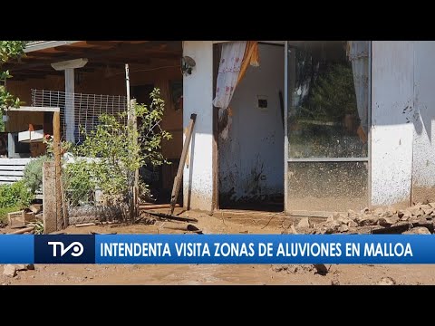 Intendenta visita zonas de aluviones en Malloa, sector Cantarrana, Región de O'Higgins