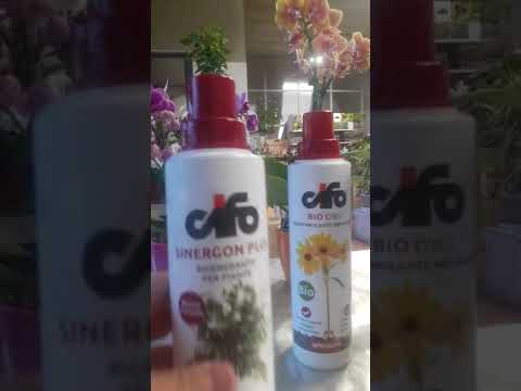 Verdefiori Garden Center - Le specialità CIFO, energia, rigenerazione e produzione.