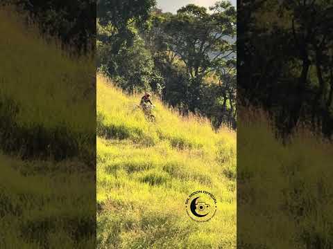 Cuando el GPS se queda sin Señal.Montañas de Bejucal en San Casimiro en el Estado Aragua.