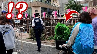 【VS 警察…!?】ブッシュマンのいたずら@中目黒桜まつり