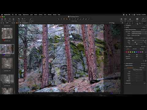 Finding Fuji X-T5 Gold in Capture One | Capture One Tips