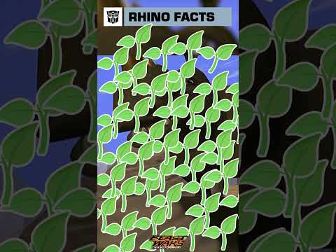 Rhino fun facts with Rhinox #transformers #youtubeshorts