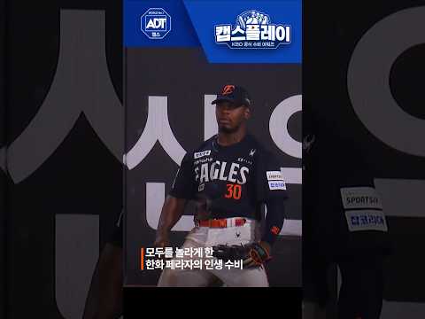 페라자의 환상적인 호수비