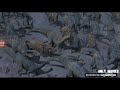 Dinosaur Aladar Vs Kron Fight