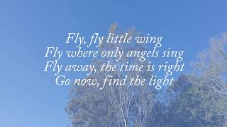Fly - Celine Dion Lyrics